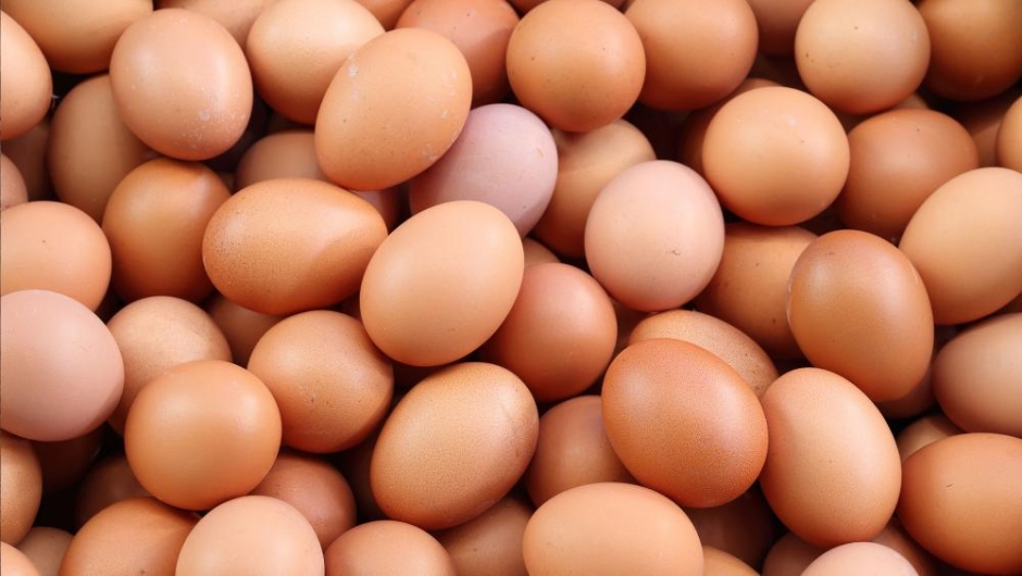 საქართველოში კვერცხის ფასი გაიზრდება
