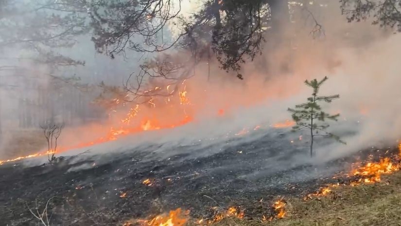 რუსეთში, კრასნოიარსკი ცეცხლის ალშია გახვეული - იწვის ტყე
