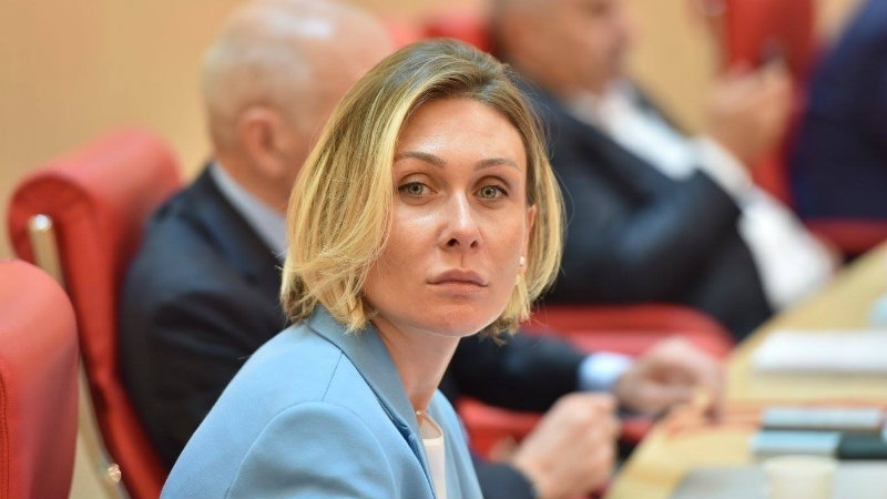 „საქარათველო რეფორმების კუთხით მოწინავეა“ - ნინო წილოსანი