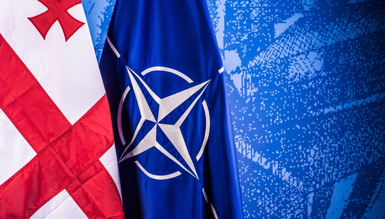 მოსახლეობის 65% NATO-ში გაწევრიანებას მტკიცედ უჭერს მხარს | IRI