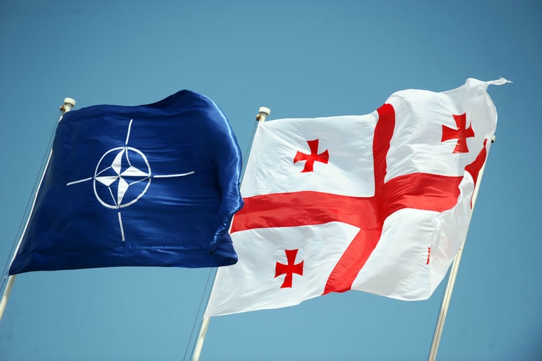 საქართველოს მოსახლეობის 73% ქვეყნის NATO-ში გაწევრიანების მომხრეა | NDI