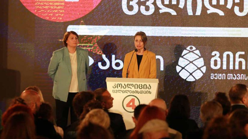 ნანა მალაშხია: ჩემთვის დიდი პატივია მონაწილეობა მივიღო ამ ბრძოლაში