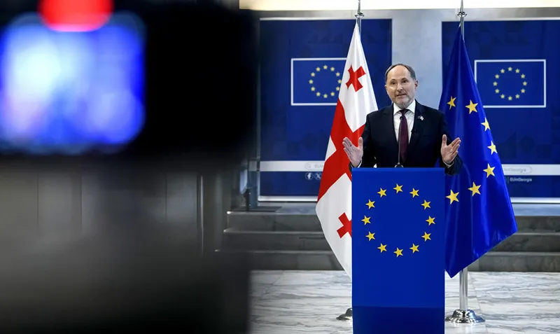 ევროკავშირის ელჩი: თუ გადაწყვეტთ, გარდაქმნათ საქართველო, ქვეყანა არ გახდება ევროკავშირის წევრი, არც დღეს, არც ხვალ და 2030-ში