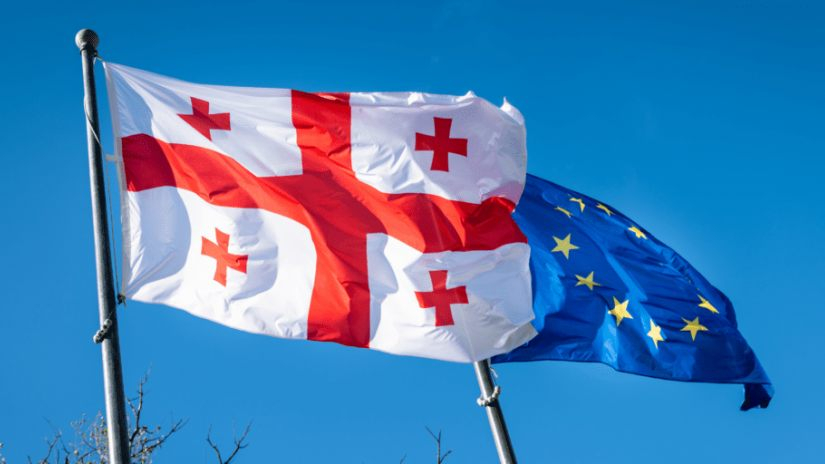 ALDE: უარვყოფთ საქართველოში არჩევნების შედეგს