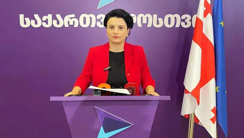 ნათია მეზვრიშვილი: თუ  ჩვენი მხარდამჭერები გადაწყვეტენ, რომ აქციებზე უნდა ვიყოთ, მათ დაკვეთას შევასრულებთ