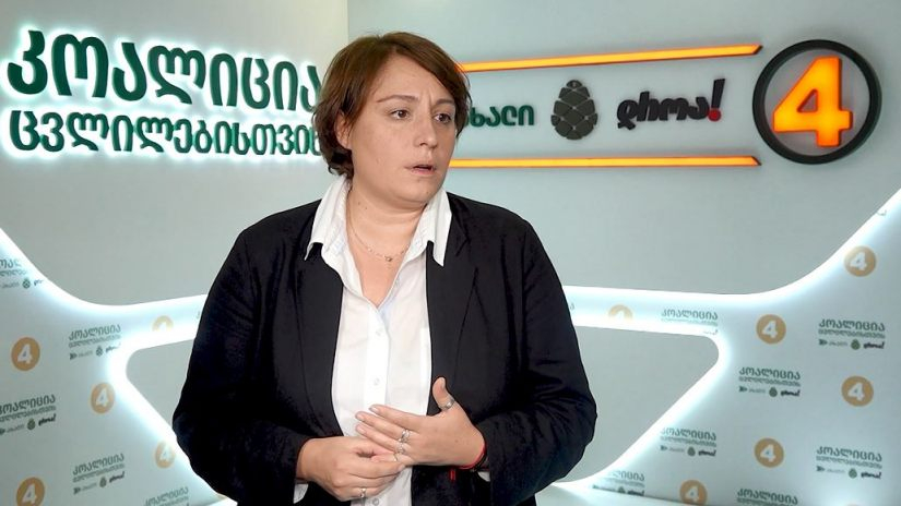 სასამართლომ ელენე ხოშტარიას იარაღის ტარების უფლება შეუჩერა