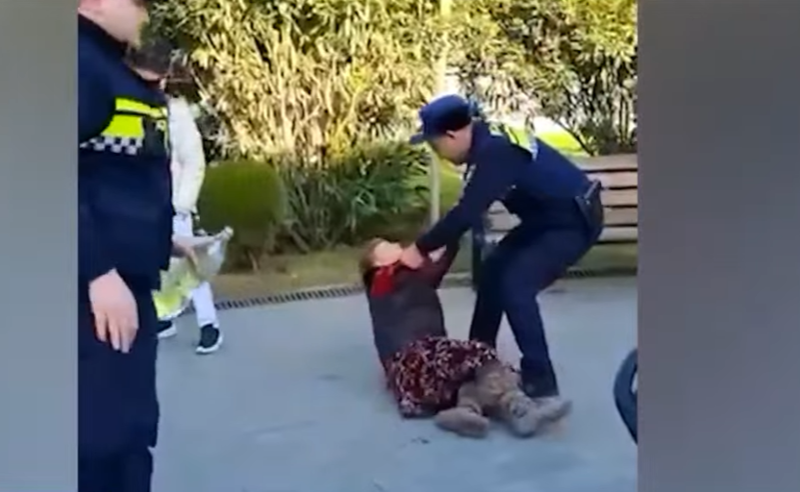 რიყის პარკში მუნიციპალურმა ინსპექციამ გარემოვაჭრეები ძალის გამოყენებით დაშალა