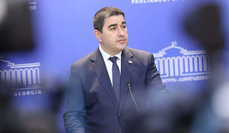 პაპუაშვილი: ახალაია მეუღლის ზურგს ამოეფარა და ისე აპირებდა ქვეყნის დამხობას