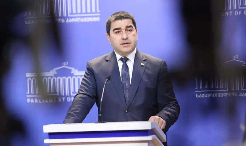 პაპუაშვილი: ფარცხალაძეს რუსეთის მოქალაქეობა აქვს, რაც ართულებს ექსტრადიციის პროცესს