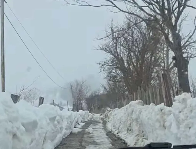 აჭარაში თოვლის საფარი 1 მეტრს აღწევს აჭარაში თოვლის საფარი 1 მეტრს აღწევს