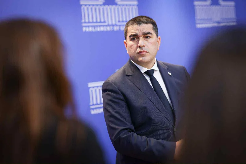 პაპუაშვილი თსუ-სა და სტუ-ს აქციაზე: ემოციურად დაზიანებული ხალხია, ზიზღსა და სიძულვილს აფრქვევენ